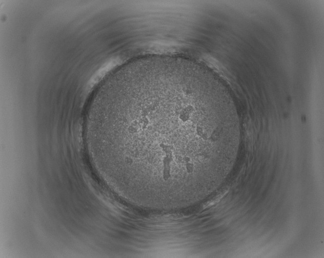 X0000069360679200605192059