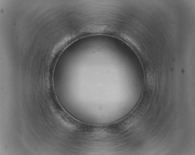 X0000069360682200605192059