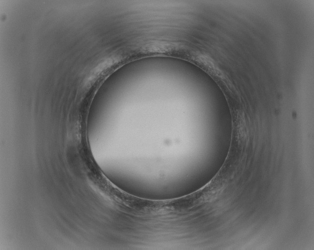 X0000069360683200605192059