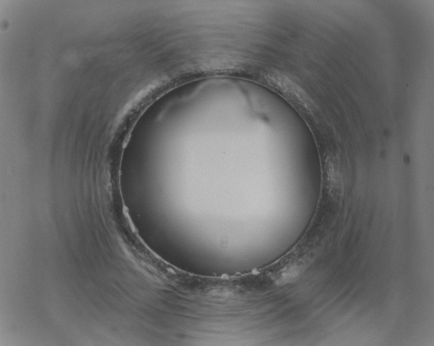 X0000069360684200605192059