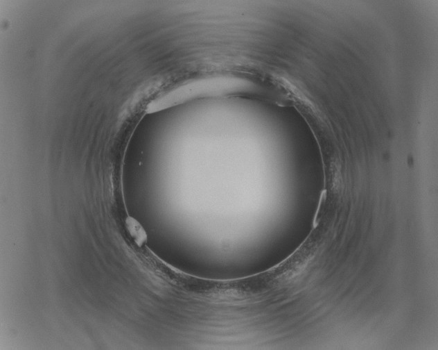 X0000069360685200605192059