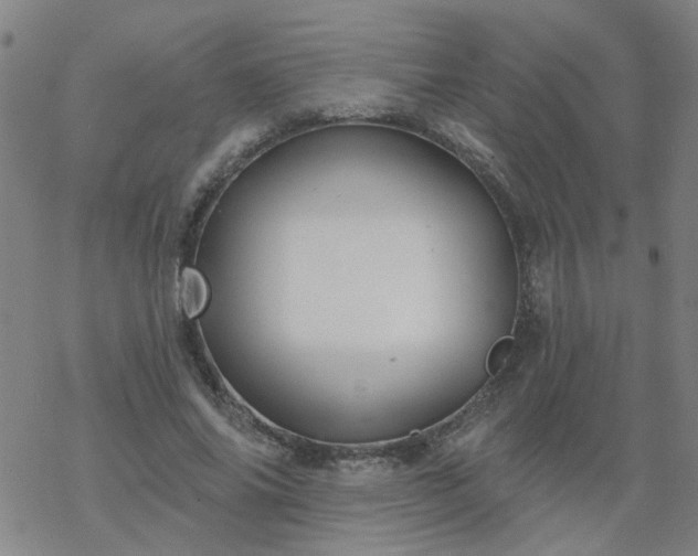 X0000069360686200605192059