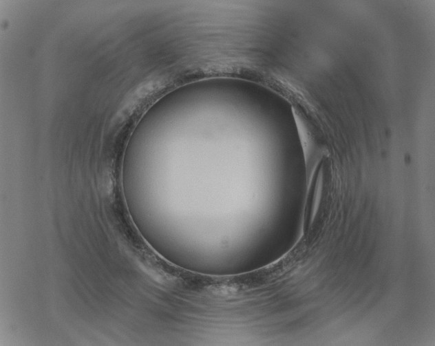 X0000069360687200605192059