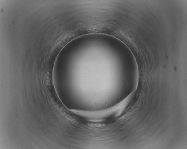 X0000069360689200605192058