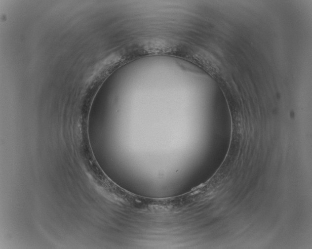 X0000069360690200605192058