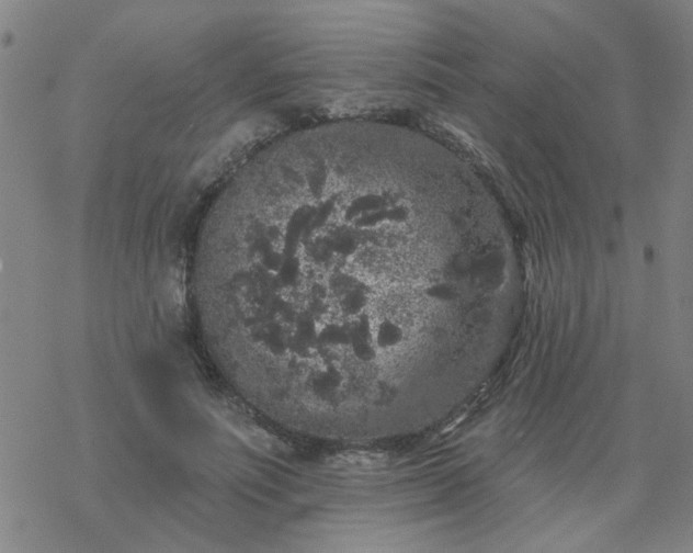 X0000069360691200605192058