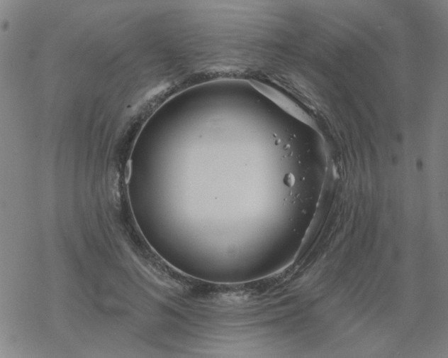 X0000069360692200605192058