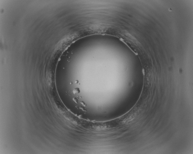 X0000069360693200605192058