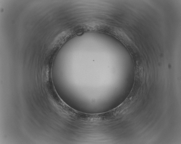 X0000069360694200605192058