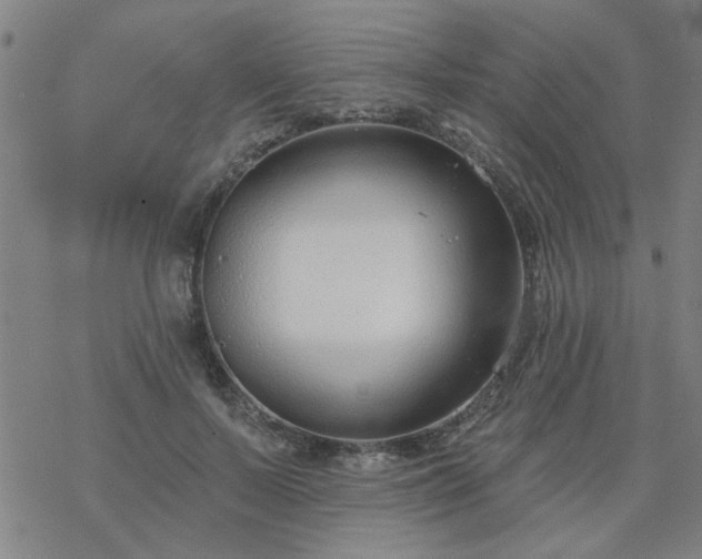 X0000069360695200605192058