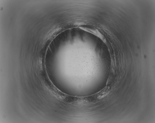 X0000069360696200605192058