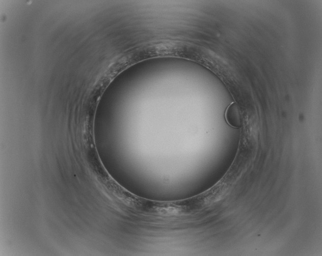 X0000069360698200605192058