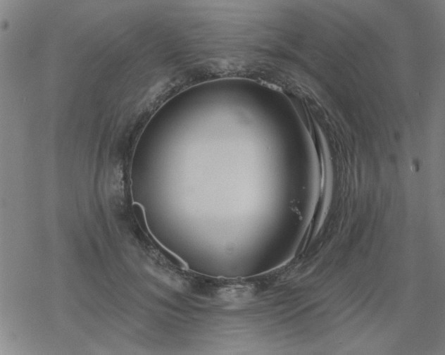 X0000069360700200605192058