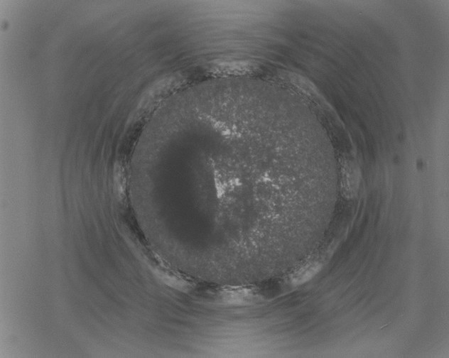 X0000069360701200605192058