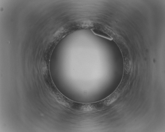 X0000069360704200605192058