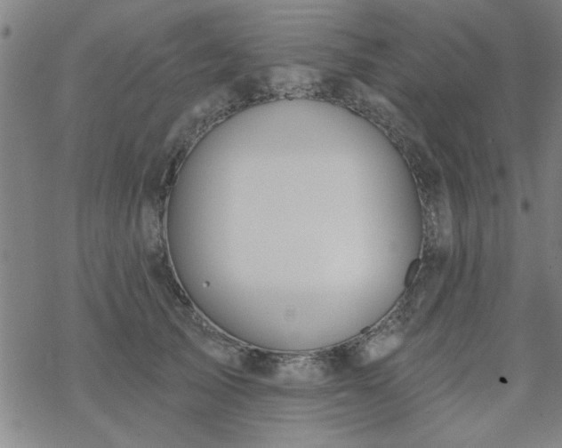 X0000069360705200605192058