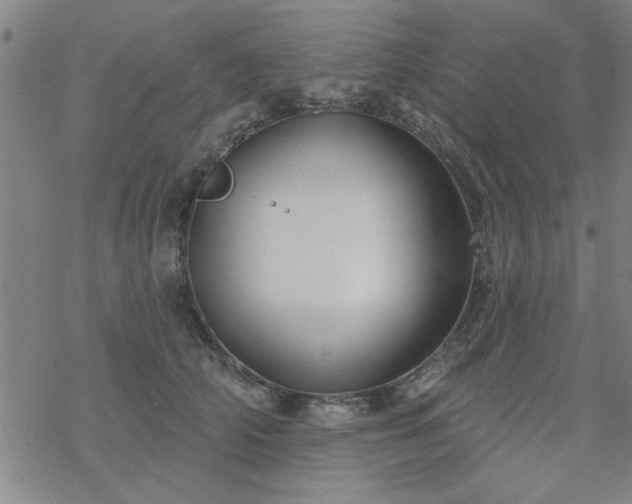 X0000069360706200605192058