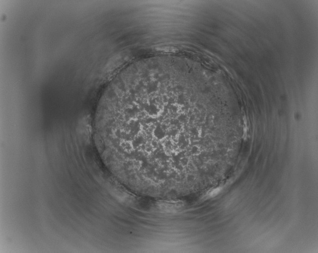 X0000069360707200605192058