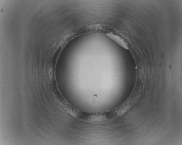 X0000069360708200605192058