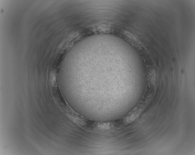 X0000069360709200605192058