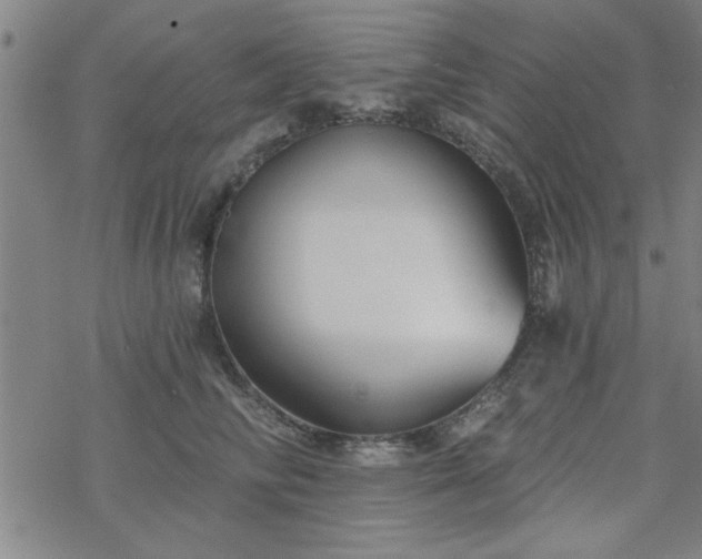 X0000069360710200605192058