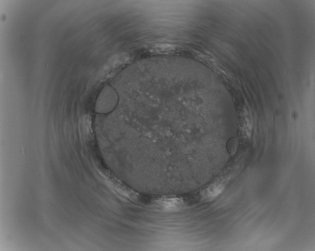 X0000069360711200605192058