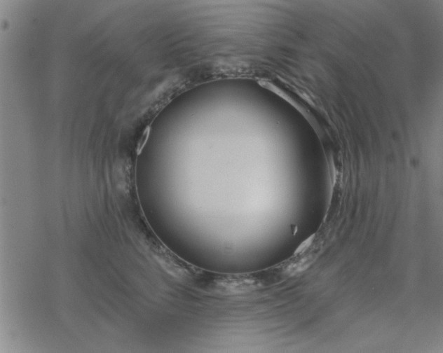 X0000069360712200605192058