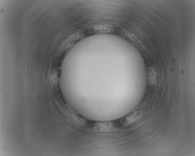 X0000069360713200605192058