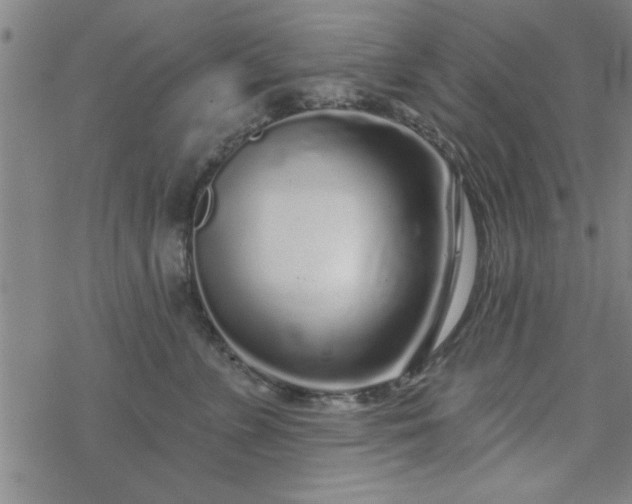 X0000069360715200605192058