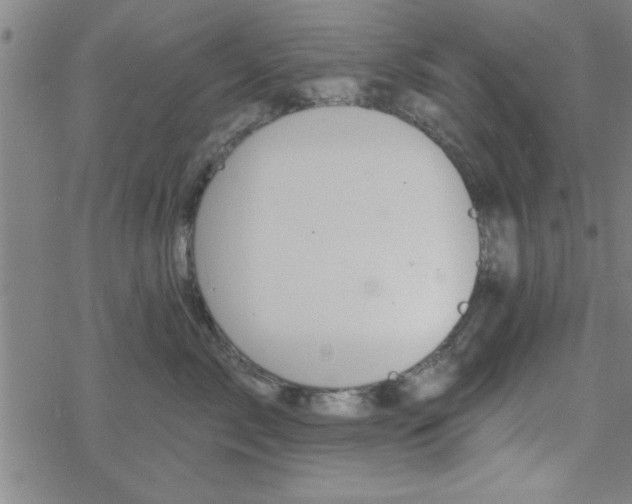 X0000069360717200605192058