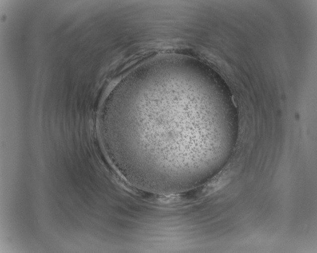 X0000069360720200605192058