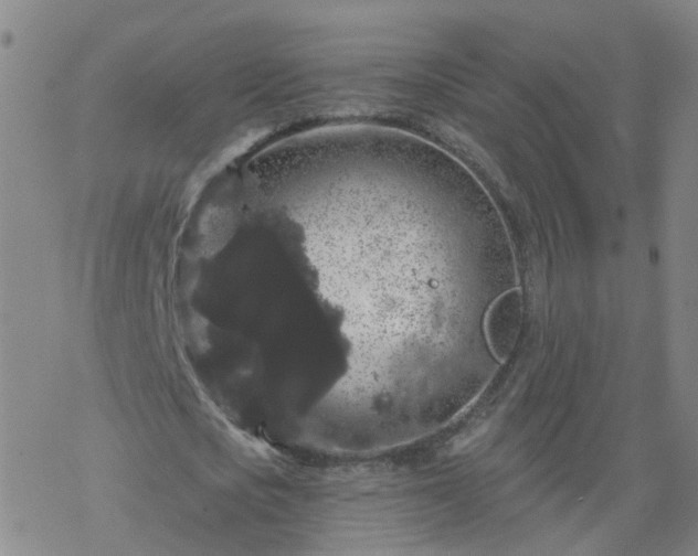 X0000069360721200605192057