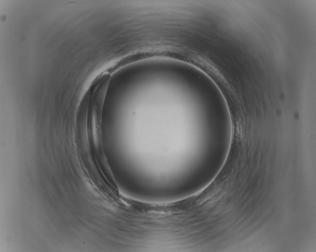 X0000069360724200605192057