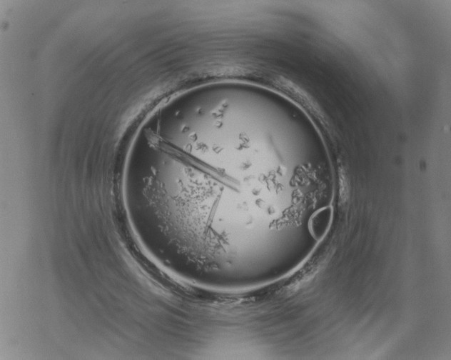 X0000069360725200605192057