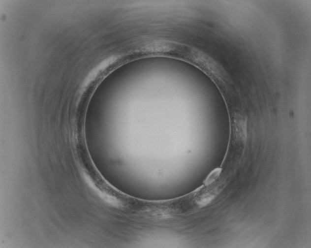 X0000069360726200605192057