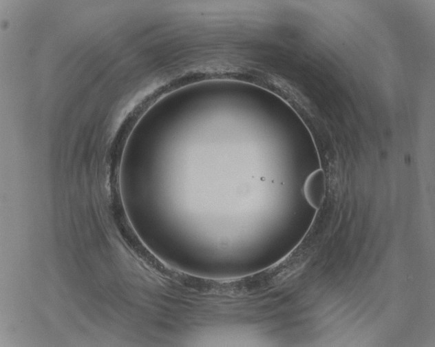 X0000069360727200605192057