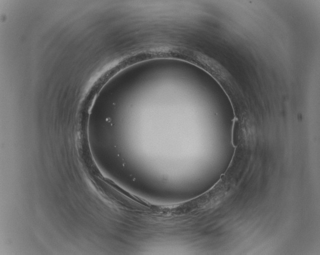 X0000069360728200605192057