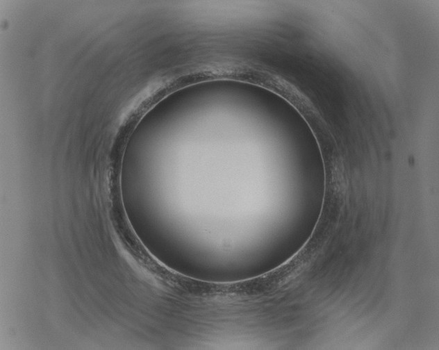 X0000069360730200605192057