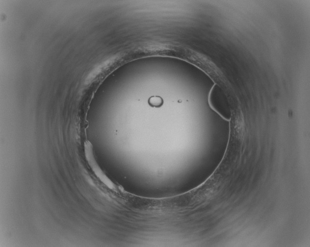 X0000069360732200605192057