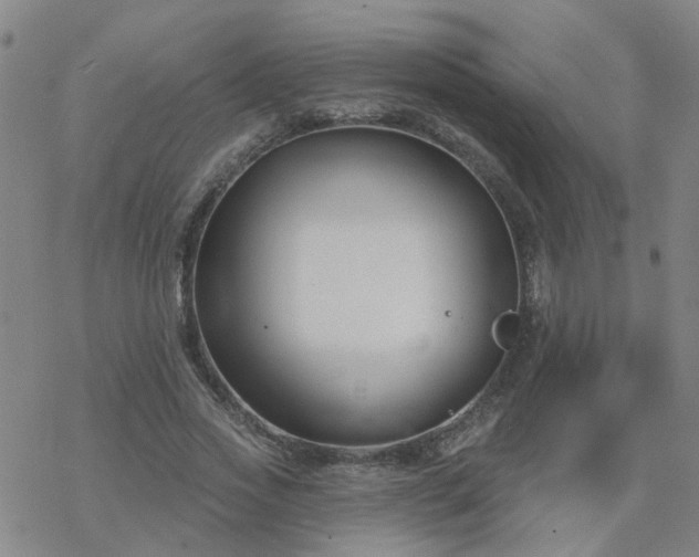 X0000069360733200605192057