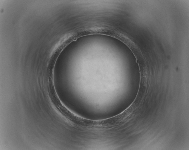 X0000069360734200605192057