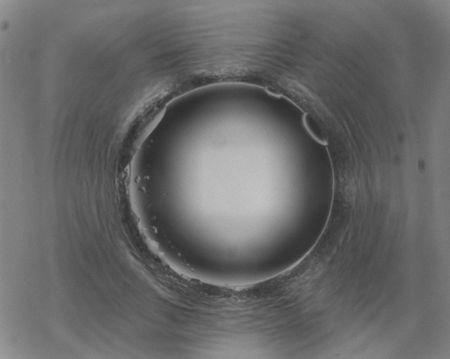 X0000069360735200605192057