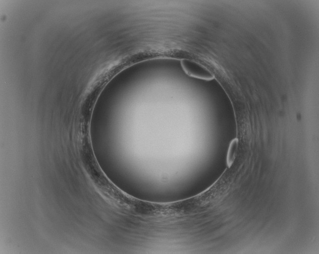 X0000069360736200605192057