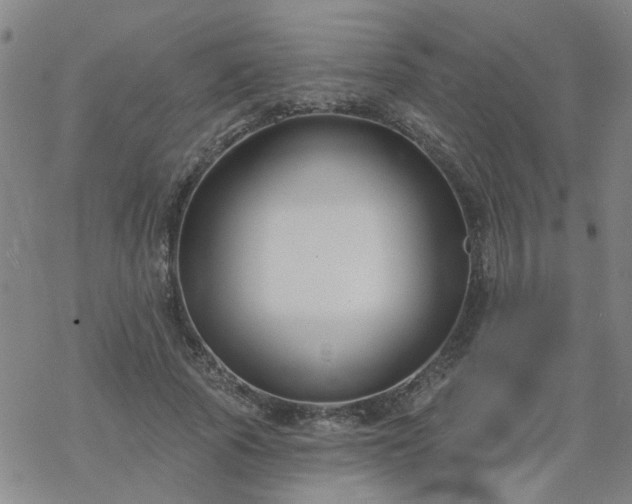 X0000069360737200605192057