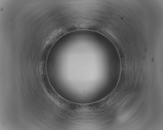 X0000069360738200605192057