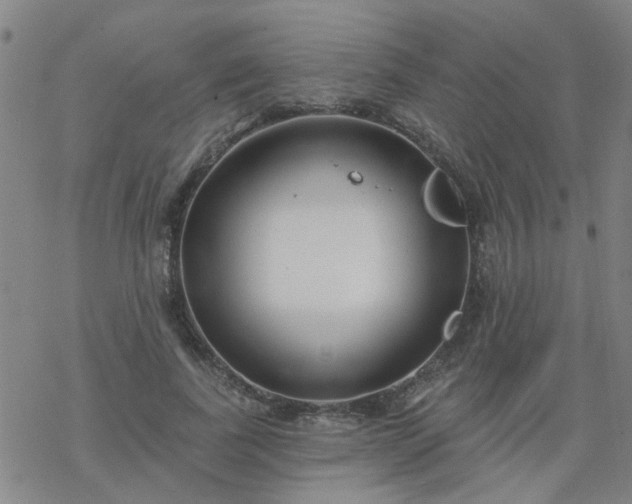 X0000069360739200605192058