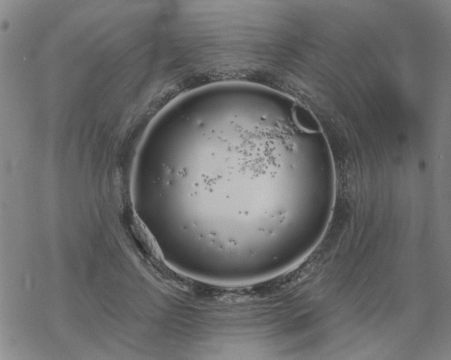 X0000069360742200605192058