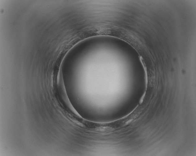 X0000069360748200605192058