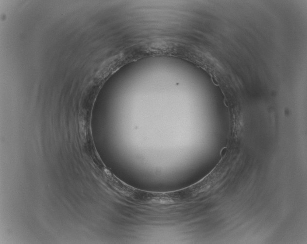 X0000069360749200605192058