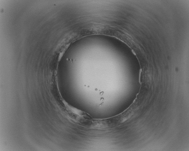 X0000069360750200605192058